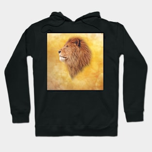 Lion portrait Hoodie